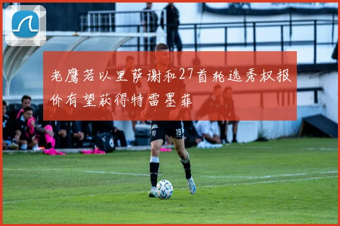 老鹰若以里萨谢和27首轮选秀权报价有望获得特雷墨菲